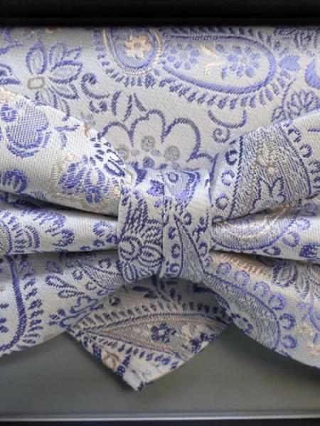 Noeud-papillon bleu et doré